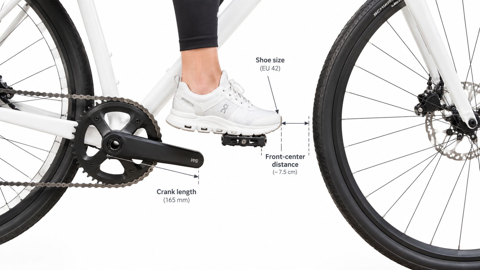 A close-up view of a bicycle pedal stroke demonstrating front-center distance clearance for an EU 42 shoe.